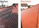 Bilder